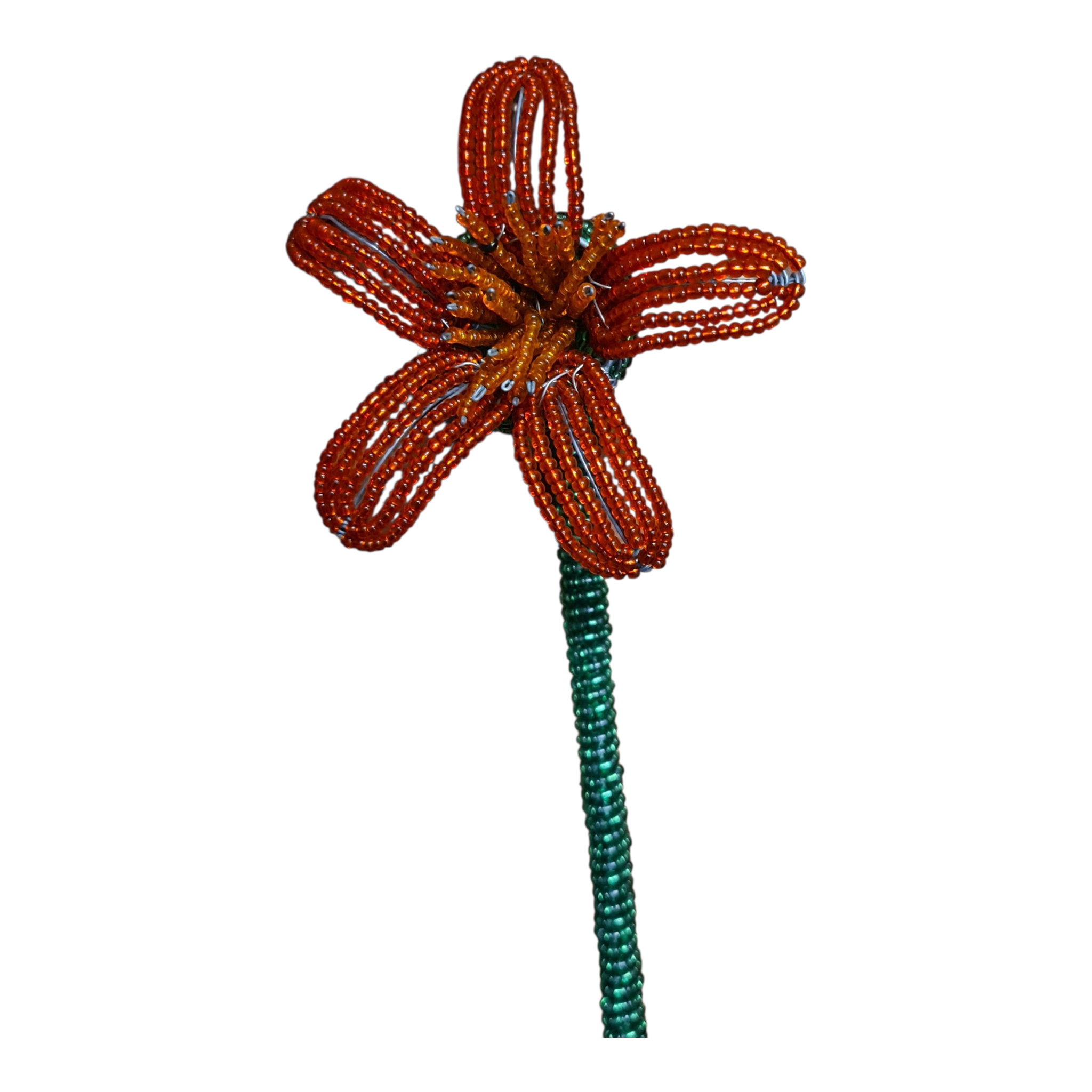 Blossom (Stalasia Flowers)