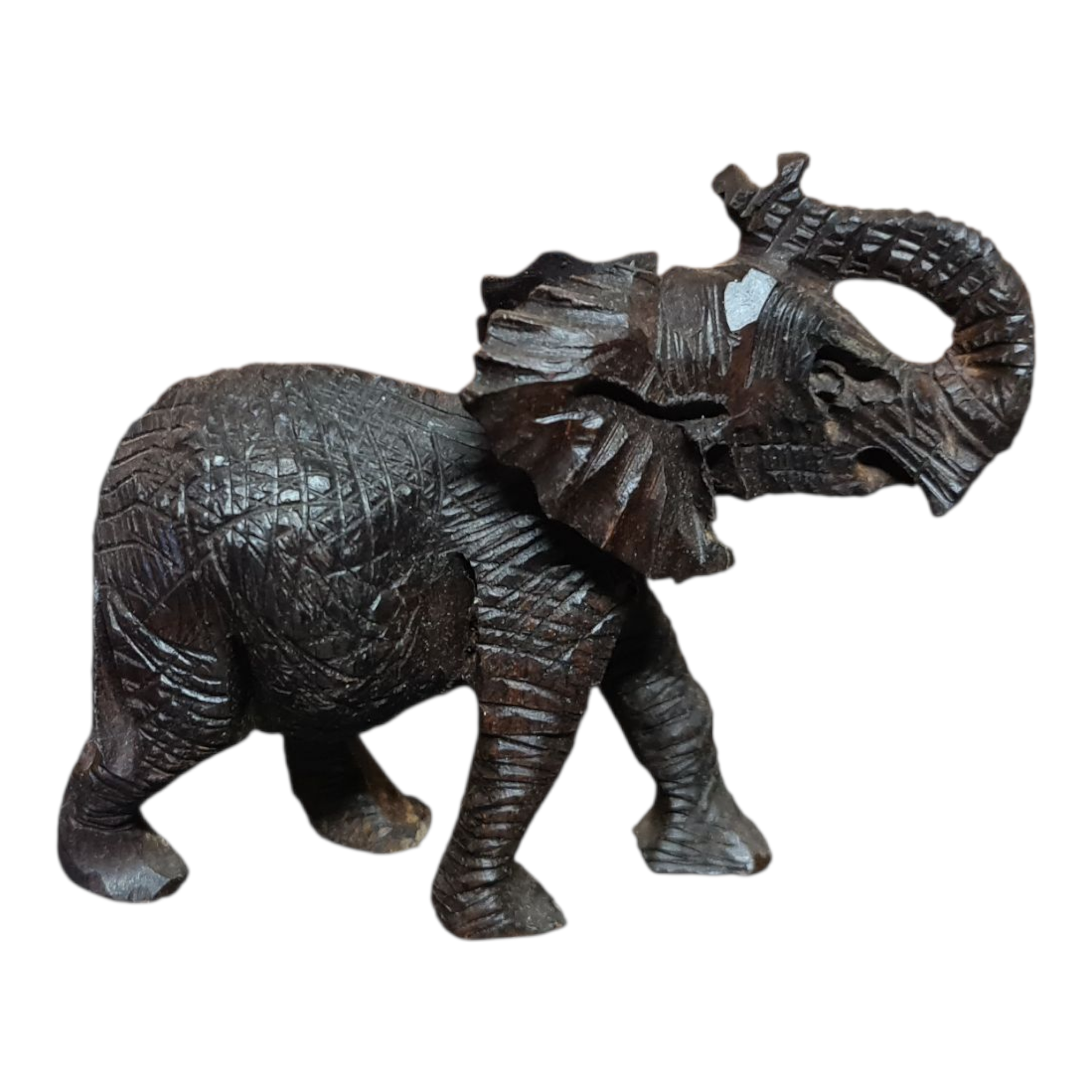 Savannah Sentinel (elephant)
